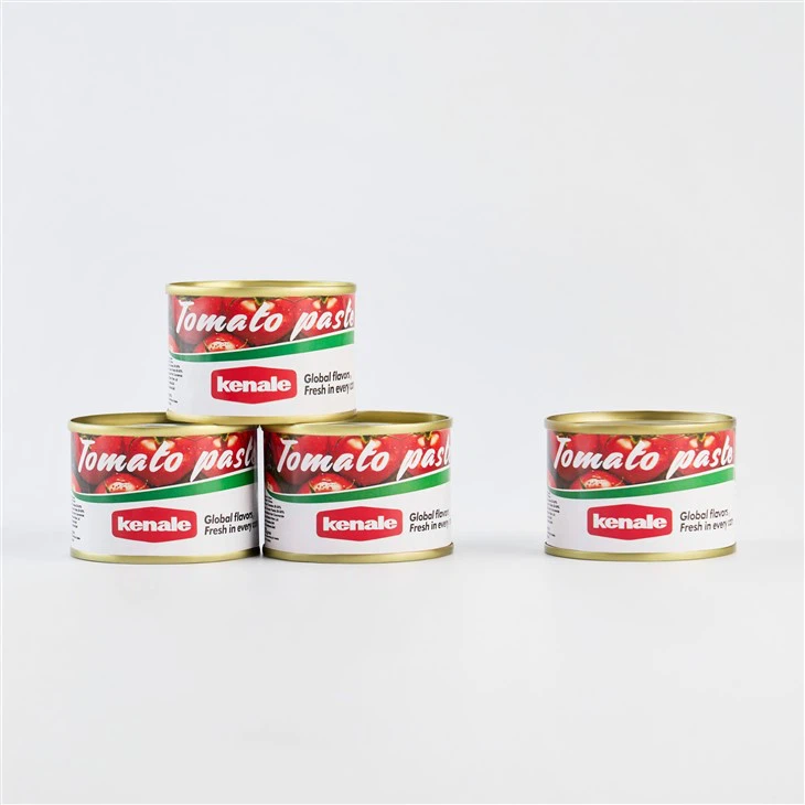 Double Concentrate Canned Tomato Paste price