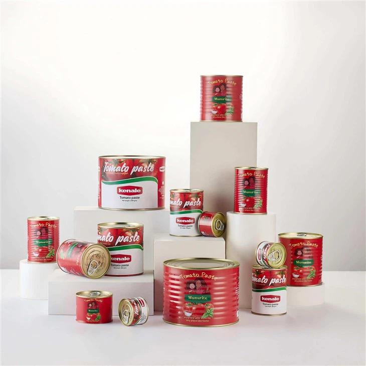 Double Concentrate Canned Tomato Paste high quality