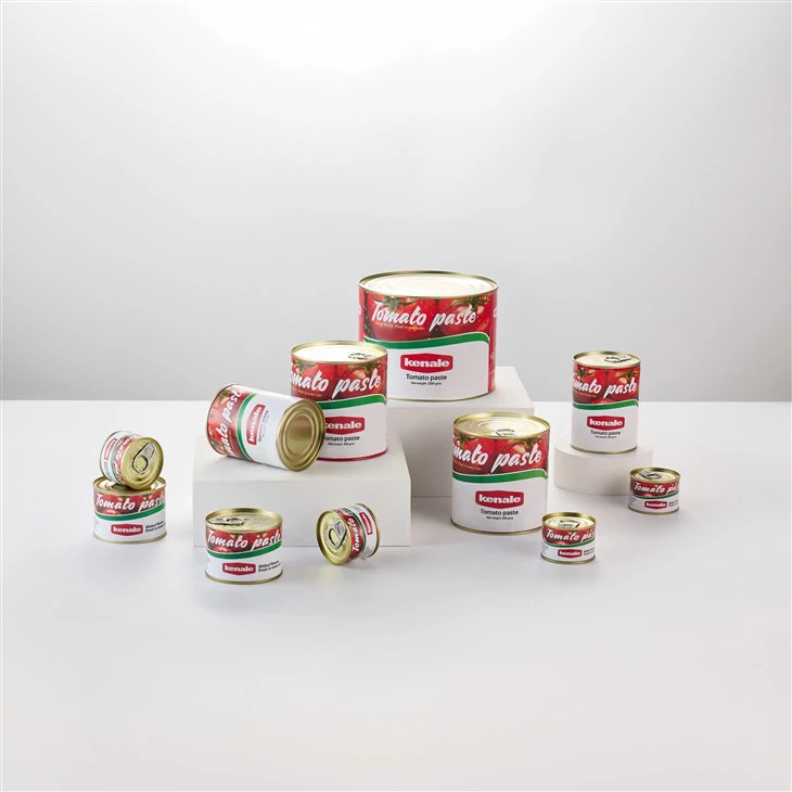 Double Concentrate Canned Tomato Paste best