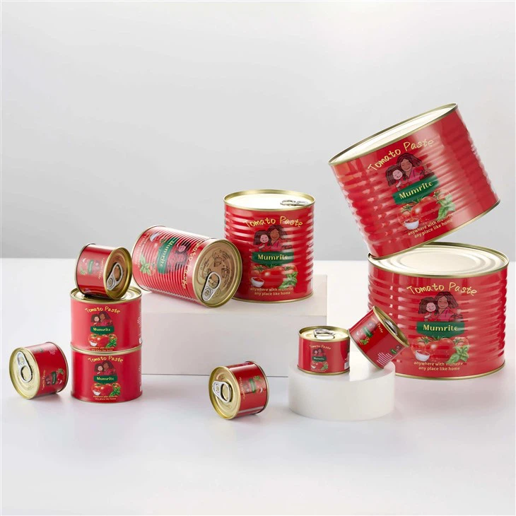 Tomato Paste in Can best
